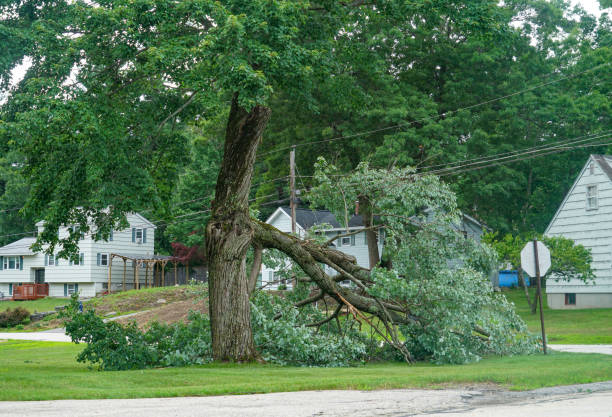 Best Hazardous Tree Removal  in Glasgow, DE